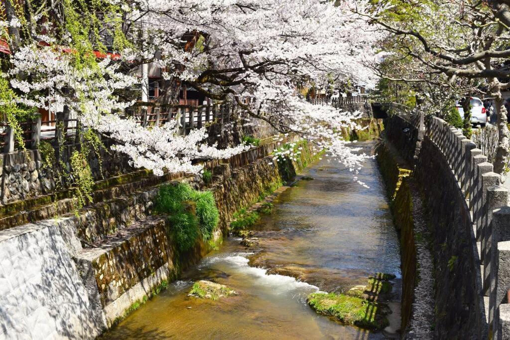 Komorebi/こもれび Takayama  Luaran gambar
